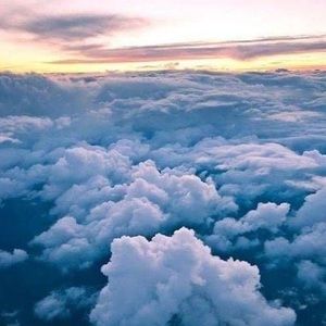 Meet your Posher, Emely